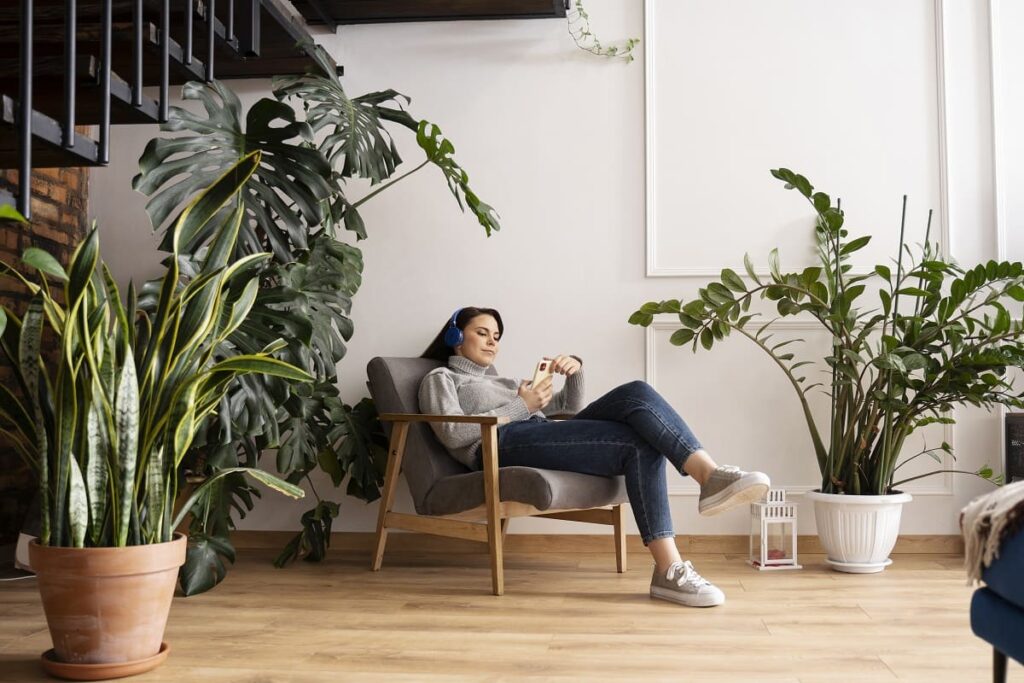 Plantas para a sala